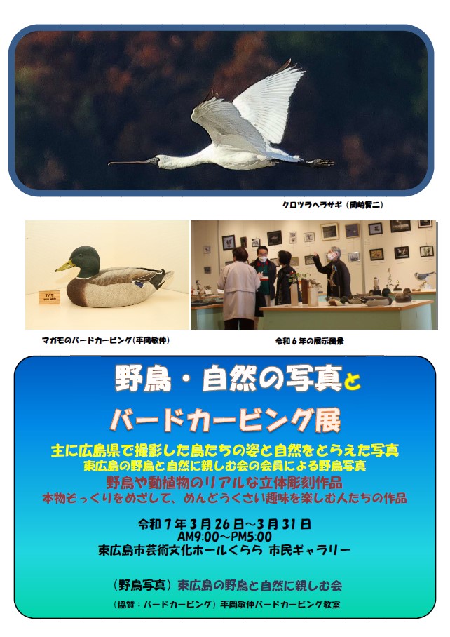 野鳥・自然の写真とバードカービング展　主に広島県で撮影した鳥たちの姿と自然をとらえた写真　野鳥や動植物のリアルな立体彫刻作品